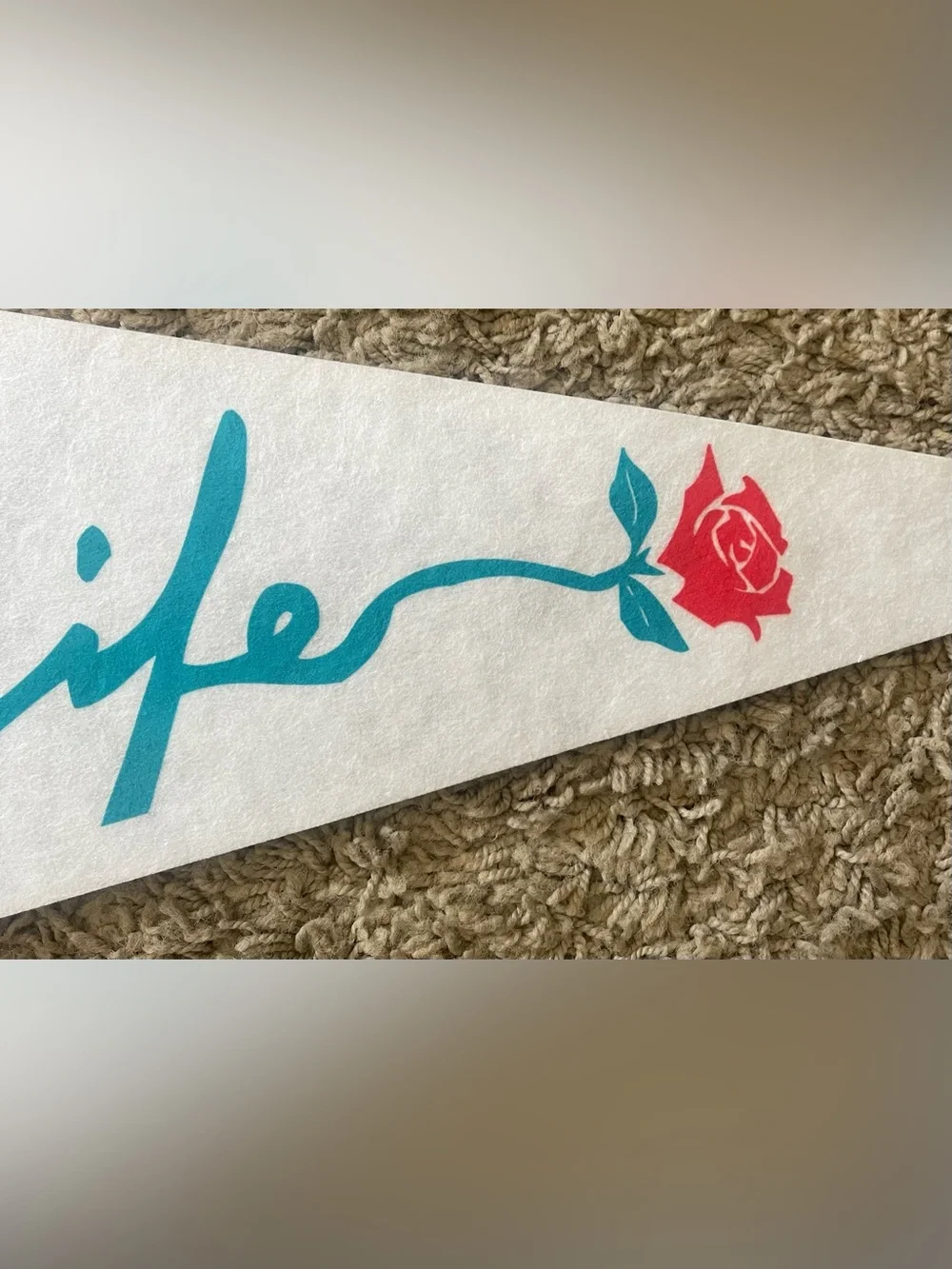 John Paul II Defender of Life 1999 Papal Visit Pennants Set of 2 Vintage